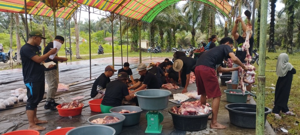 Panitia Kurban Masjid Al Muhajirin Desa Titian Resak, Sembelih 9 Ekor Sapi