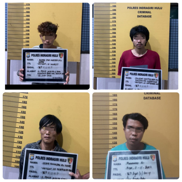 Polres Inhu Ringkus 4 Begal Jalan Raya Rengat - Pematang Reba, Dua Buron