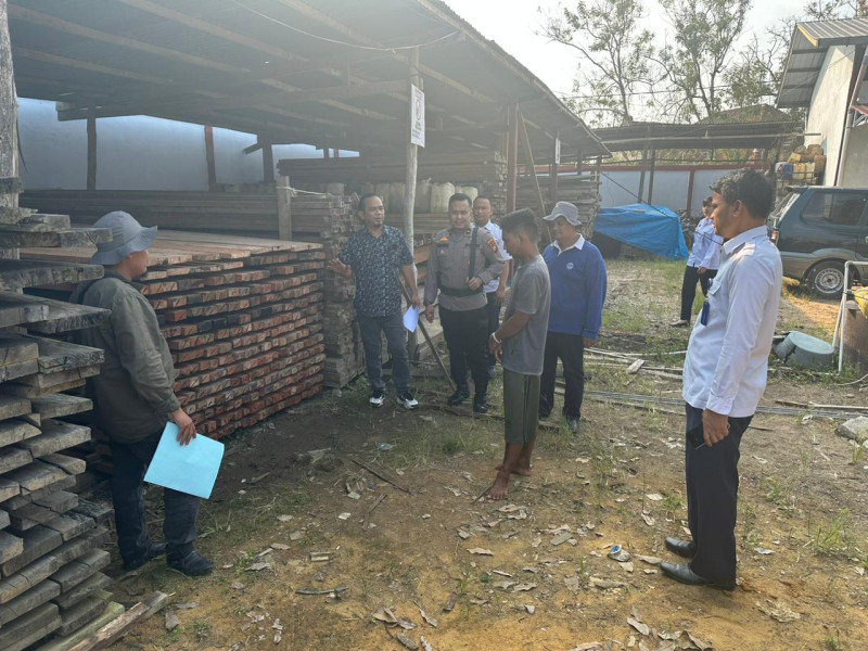 Polres Inhu dan Polhut TNBT Amankan Pelaku Ilegal Logging, Berikut Barang Buktinya