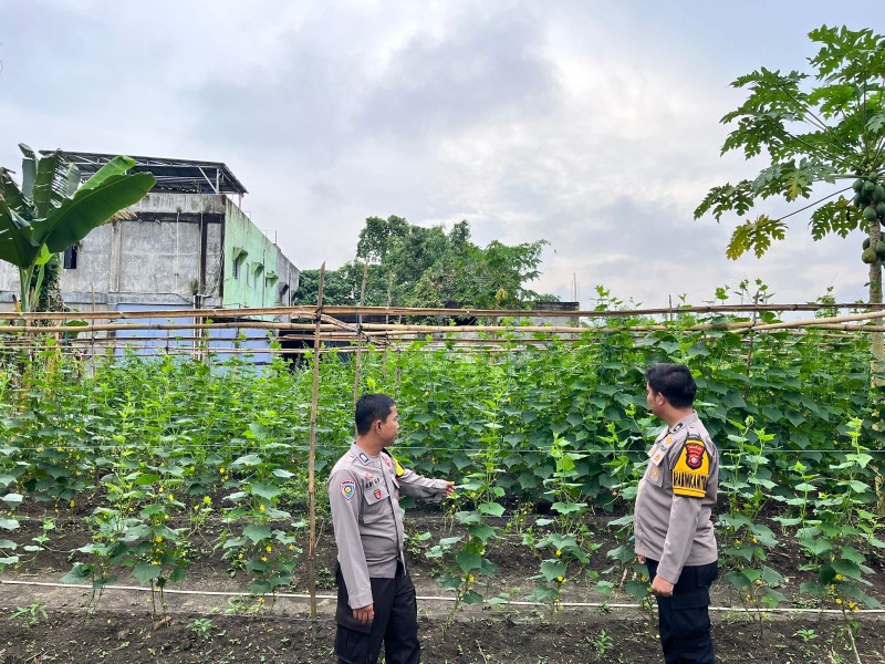 Pekarangan Bergizi Jadi Andalan Warga Desa Seberida Dukung Ketahanan Pangan