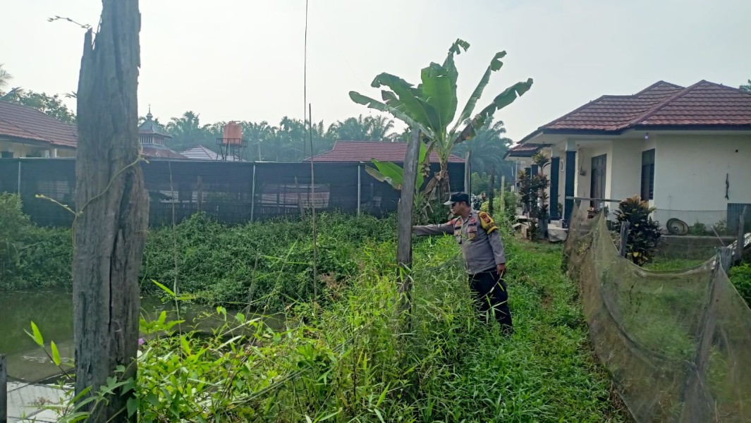 Dari Pekarangan Jadi Harapan: Kolam Patin Warga Bandar Padang Didorong Jadi Penopang Ketahanan Pangan