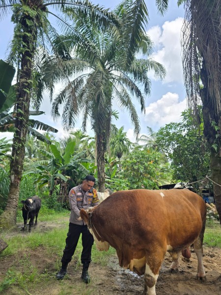 Dari Kandang Sapi di Petala Bumi, Polisi Ajak Warga Kuatkan Lumbung Pangan Keluarga