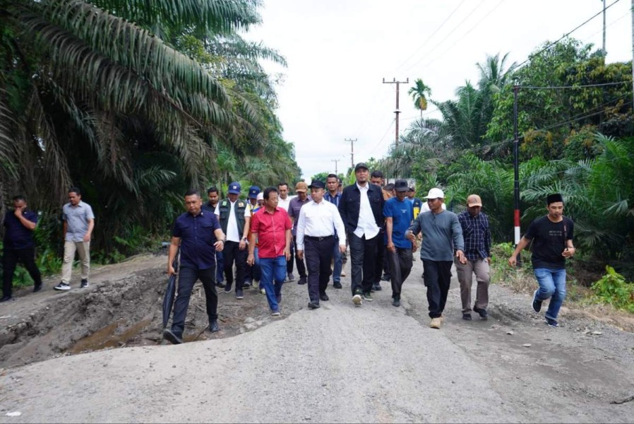 Gubri Abdul Wahid Tinjau Jembatan Sekayan Deras di Inhu, Perbaikan Segera Dilakukan