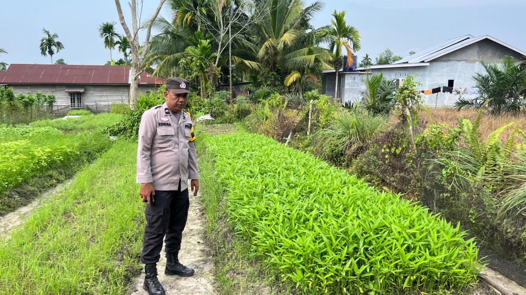 Bhabinkamtibmas di Seberida Ajak Warga Manfaatkan Pekarangan Demi Ketahanan Pangan