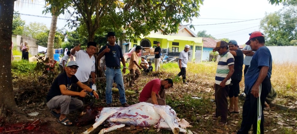 Tahun Ini Musala Al Ihwan (IKTD) Sembelih 7 Ekor Sapi dan 3 Kambing Kurban