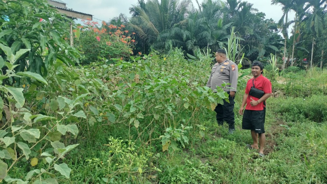 Polisi Desa Kelesa Gencarkan Pemanfaatan Pekarangan untuk Kebutuhan Pangan Keluarga
