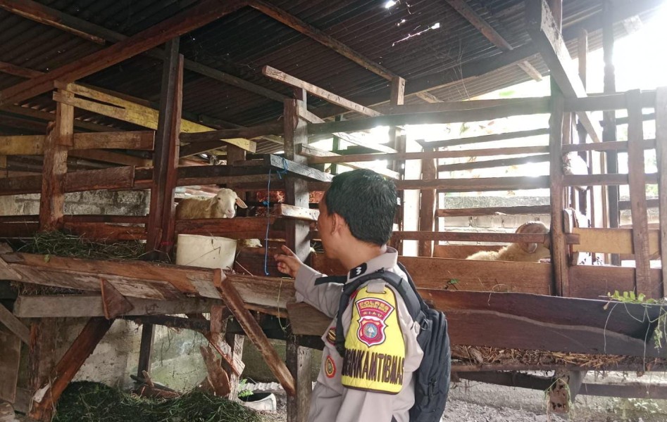Dorong Ketahanan Pangan, Bhabinkamtibmas Seberida Sambangi Warga Pengelola Ternak Kambing
