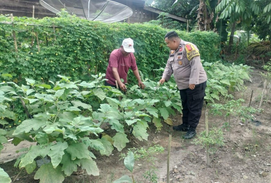 AIPDA D.A. Daulay Ajak Warga Desa Kelesa Tingkatkan Pertanian Mandiri