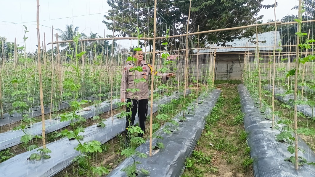 Dukung Ketahanan Pangan Nasional, Bhabinkamtibmas Seberida Ajak Warga Manfaatkan Pekarangan Tanam Pare