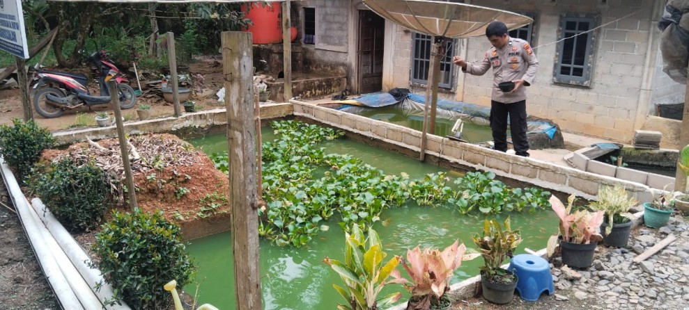 Polsek Batang Gansal Monitoring Program Pekarangan Pangan Bergizi di Desa Seberida