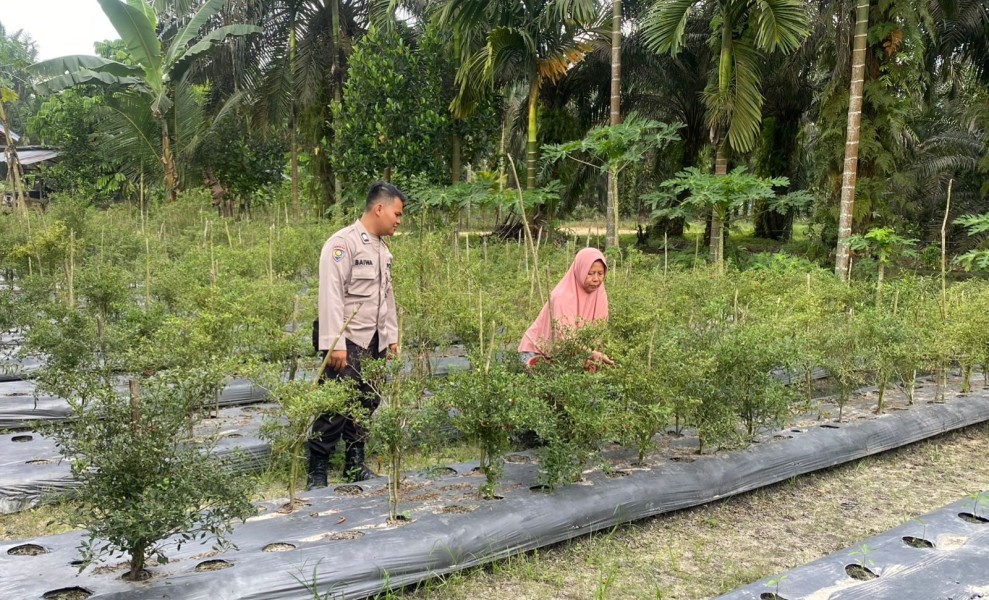 Bhabinkamtibmas Desa Payarumbai Ajak Warga Manfaatkan Pekarangan untuk Dukung Ketahanan Pangan Nasional