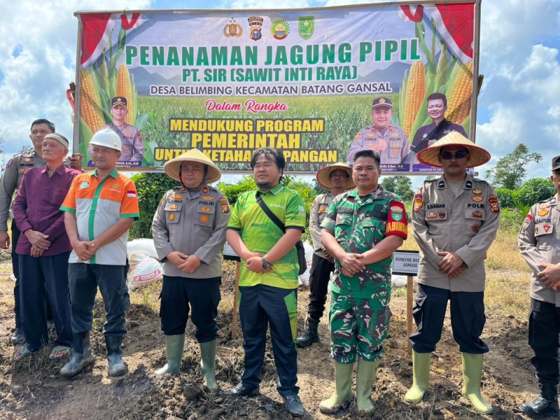 Polsek Batang Gansal Hadiri Kegiatan Penanaman Jagung Pipil Tahap II Bersama PT. Sawit Inti Raya, Dukung Ketahanan Pangan Pemerintah