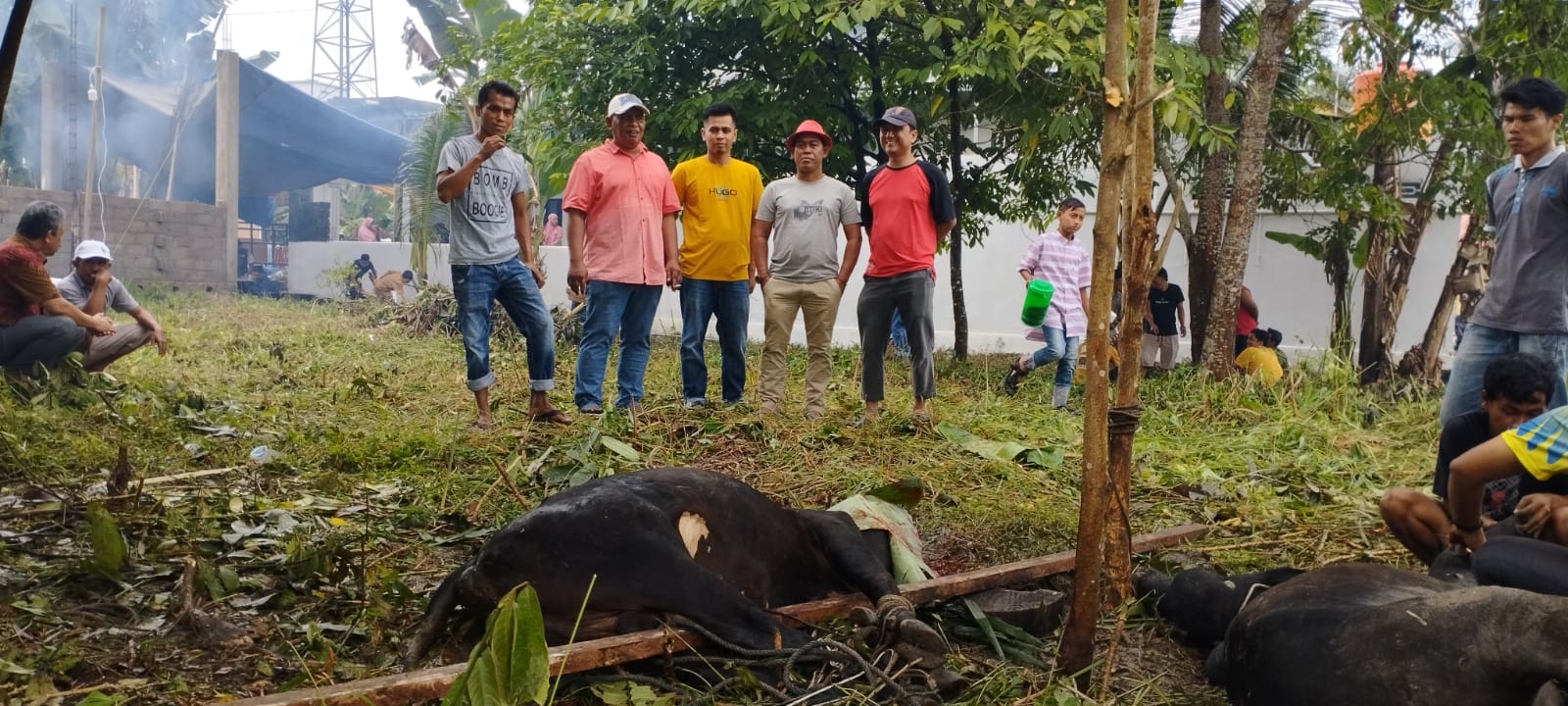 Ketua IKTD dan Ketua IKPS Hadir Menyaksikan Penyembelihan Hewan Kurban