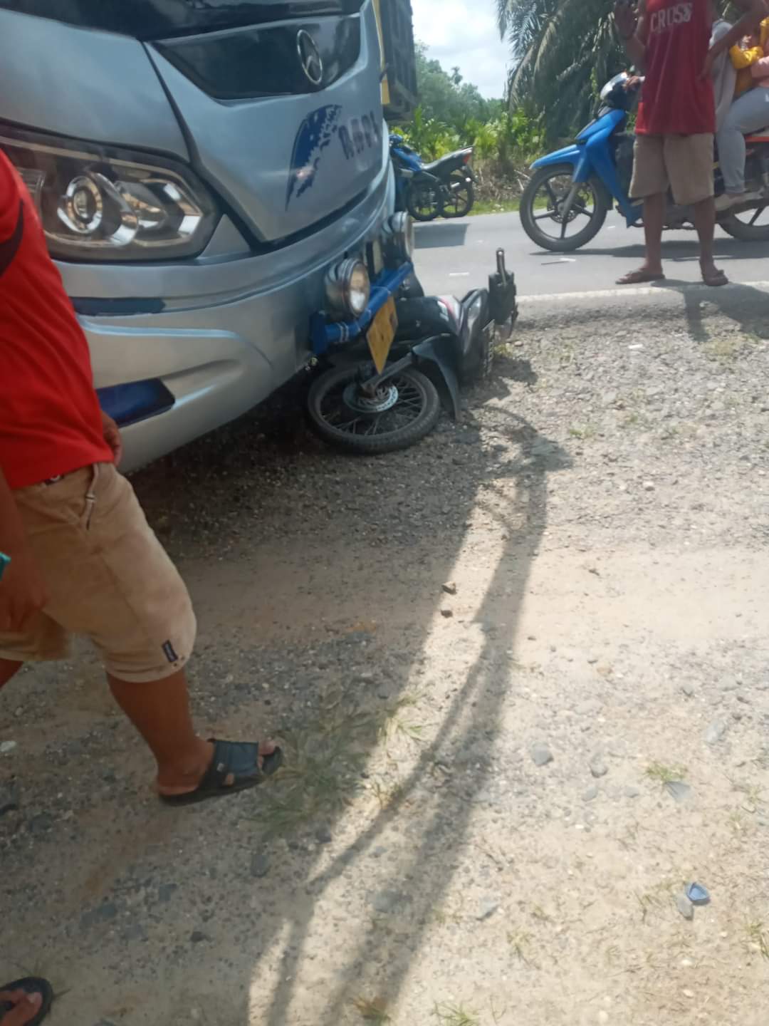 Diduga Arogan di Jalan Raya, Bus PT Rapi Tabrak Penguna Motor Dari Belakang, Kejadian di Sebrida Inhu