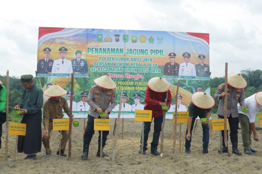 Polres Inhu Dukung Ketahanan Pangan Nasional Lewat Penanaman Jagung Serentak di Lubuk Batu Jaya