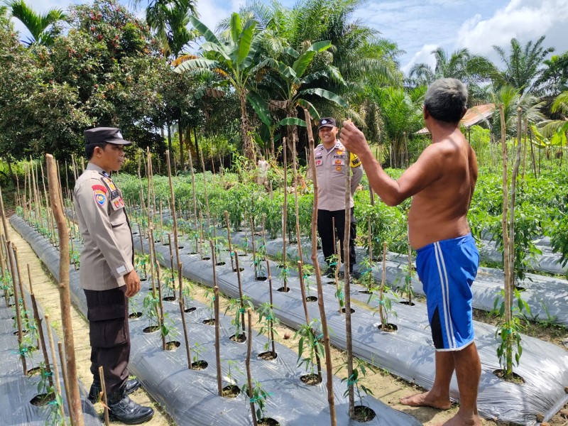 Polisi Tinjau Pekarangan Pangan Bergizi di Rantau Langsat, Dukung Program Ketahanan Pangan