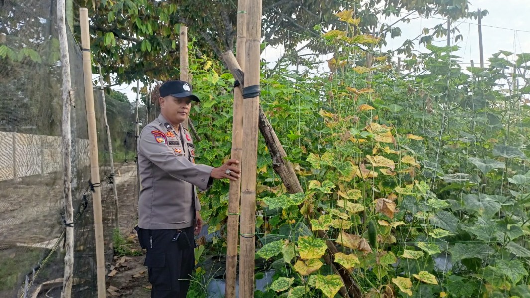 Bhabinkamtibmas Seberida Intensif Edukasi Warga Soal Kemandirian Pangan