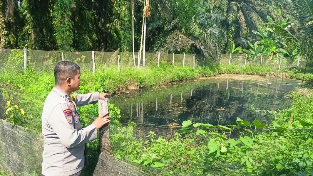Sinergi Polri dan Masyarakat Wujudkan Ketahanan Pangan Berkelanjutan di Desa Bandar Padang