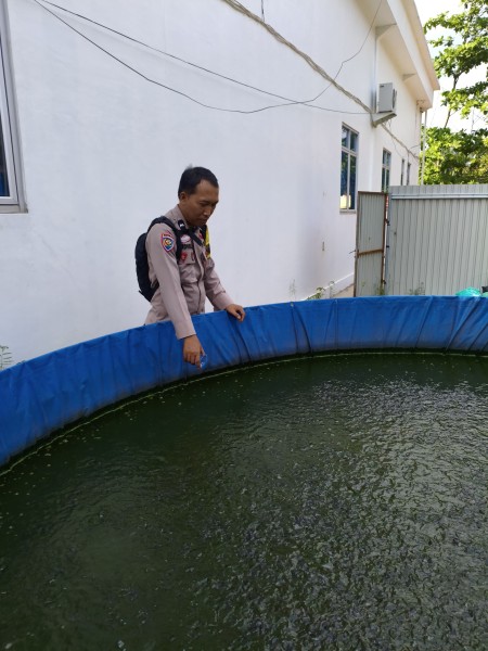 Budidaya Lele di Desa Seresam Jadi Sasaran Bhabinkamtibmas Polsek Seberida