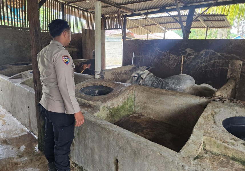 Polisi Sambangi Peternak Sapi di Petala Bumi, Dorong Ketahanan Pangan dari Pekarangan Warga