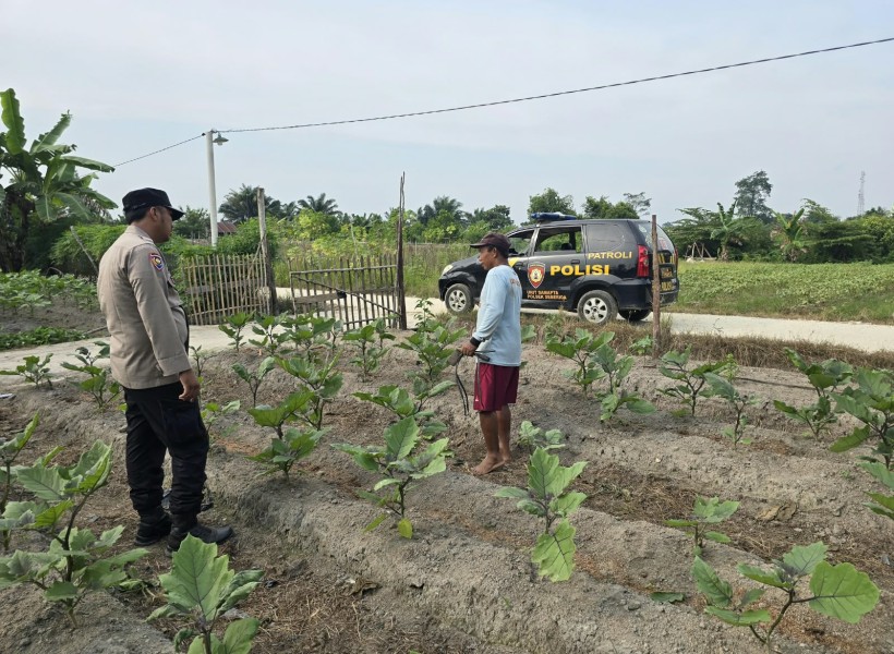 Lahan Sempit Bukan Alasan! Warga Petala Bumi Didorong Produktif Tanam Pangan