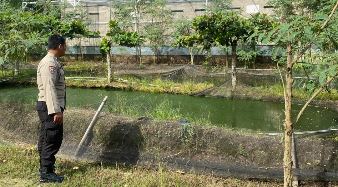 Pemanfaatan Pekarangan Produktif, Warga Payarumbai Kembangkan Budidaya Ikan Nila