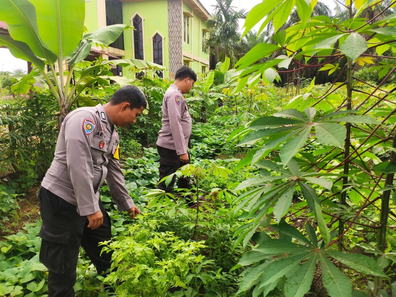 Polisi Tinjau Pekarangan Pangan Bergizi untuk Dukung Swasembada Pangan