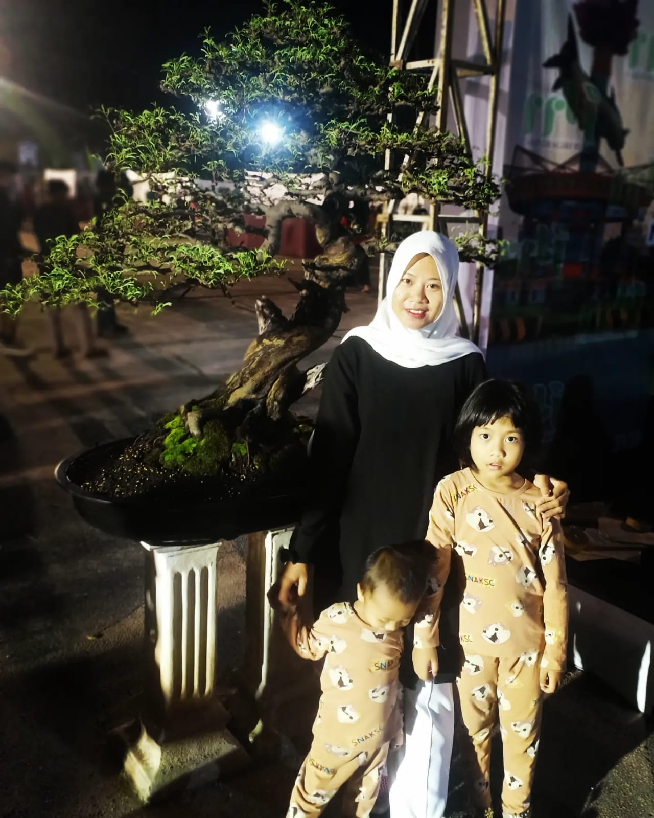 Malam Minggu, Pameran Bonsai Di Kota Rengat Dipadati Pengunjung