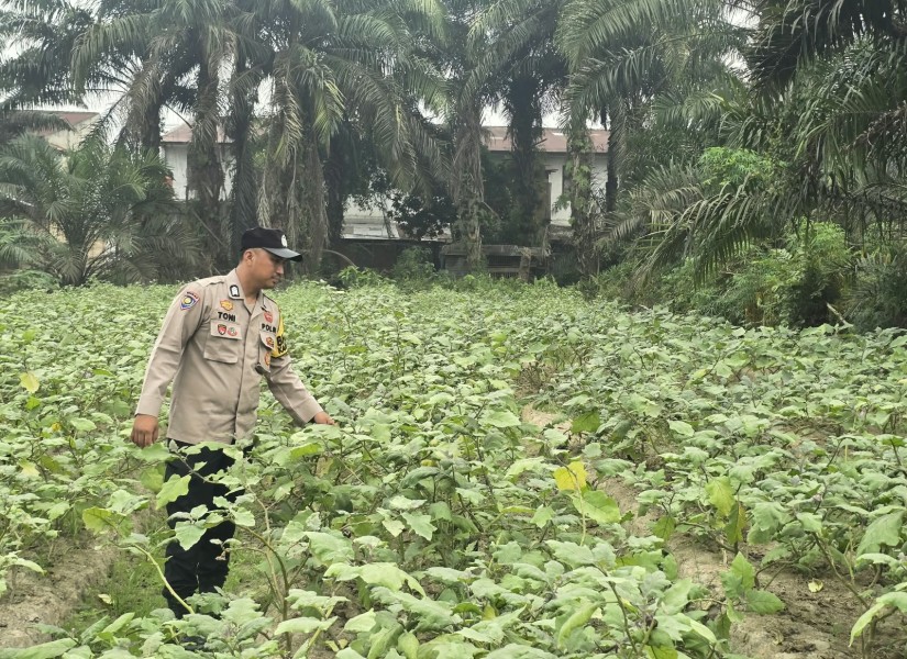 Bhabinkamtibmas Polsek Seberida Ajak Warga Petalabumi Manfaatkan Pekarangan untuk Ketahanan Pangan