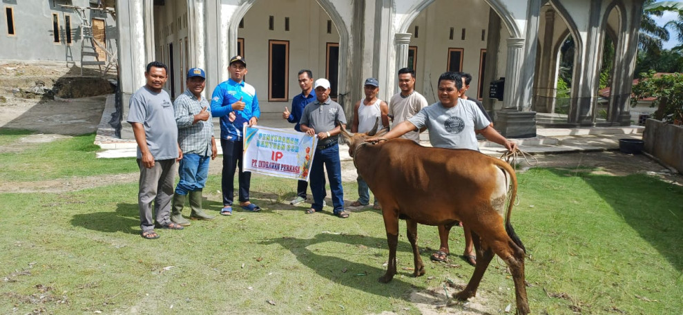 PT.Indrawan Perkasa Menyerahkan 1 Ekor Sapi Kurban Kepada Masyarakat Dusun Kayu Kawan