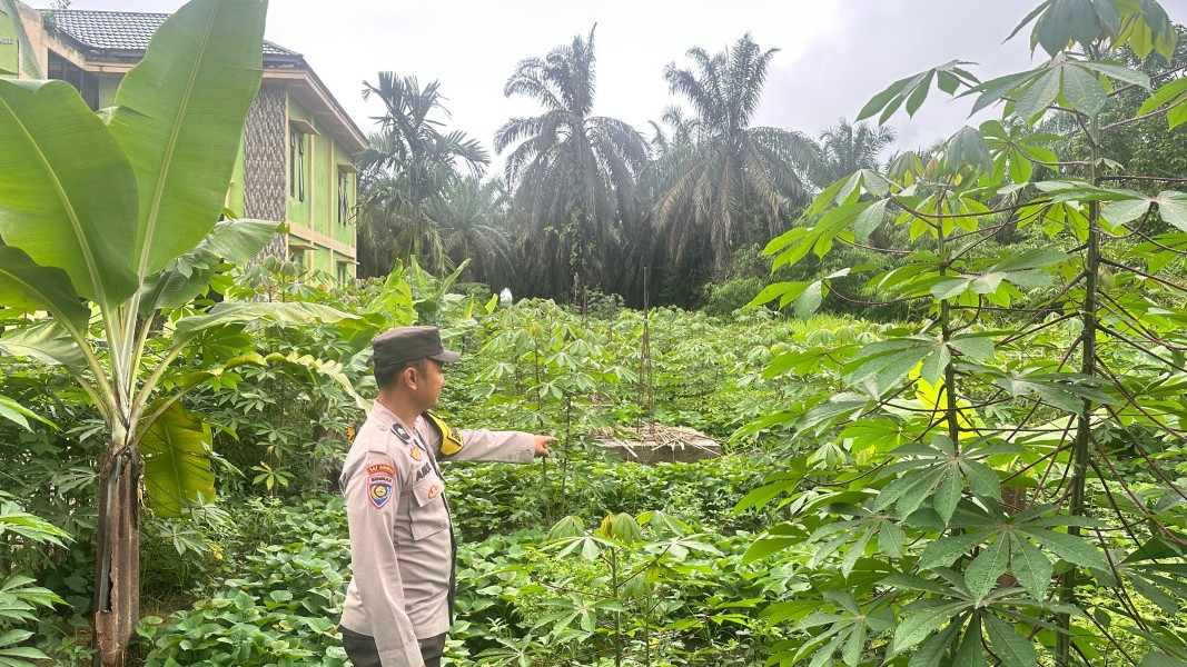 Polsek Batang Gansal Tinjau Ketahanan Pangan Pekarangan Bergizi di Desa Seberida