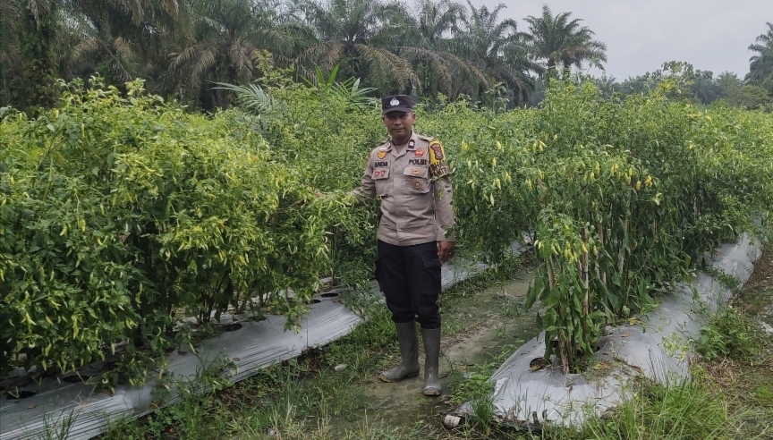 Bhabinkamtibmas Desa Titian Resak Aktif Dorong Ketahanan Pangan Lewat Pemanfaatan Pekarangan Warga