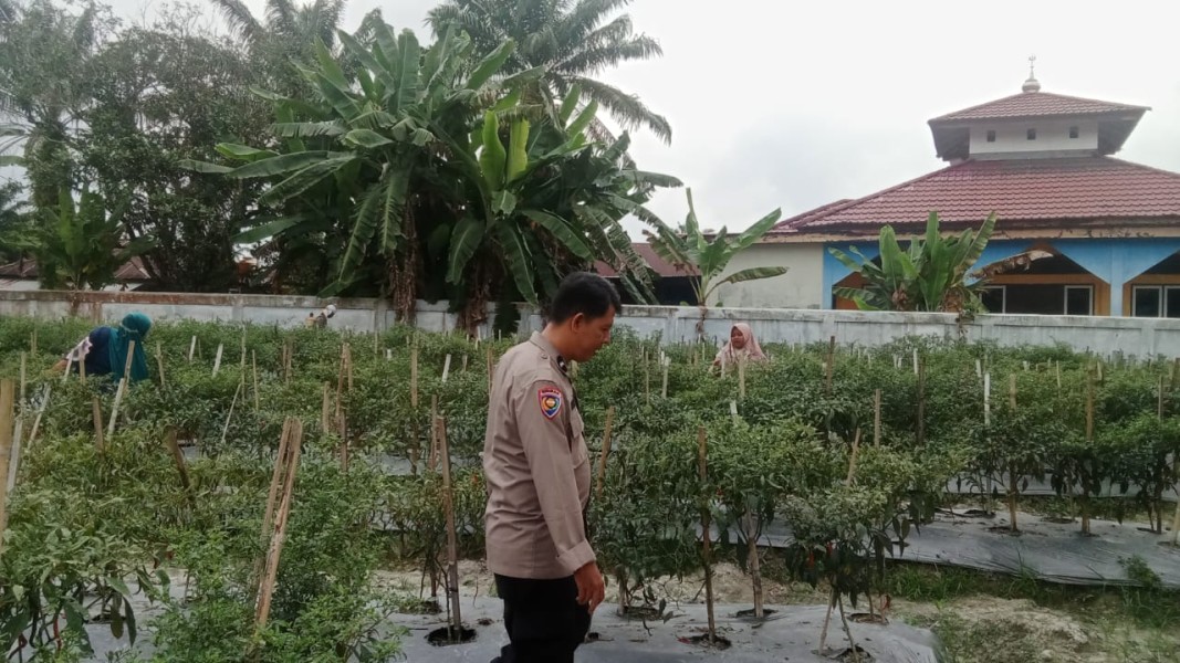 Pemanfaatan Pekarangan Produktif, Bhabinkamtibmas Beri Motivasi Warga