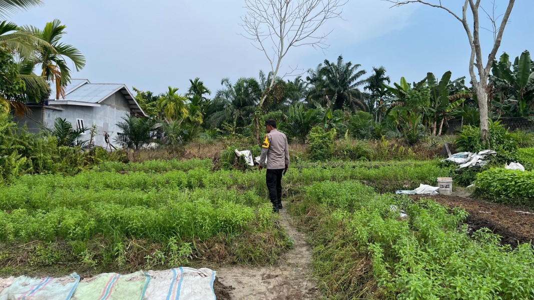 Bhabinkamtibmas Polsek Seberida Dorong Warga Manfaatkan Pekarangan untuk Dukung Ketahanan Pangan Nasional