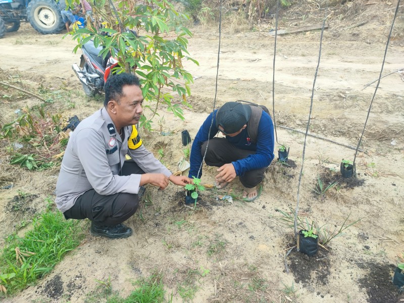 Saat Harga Cabai Tak Menentu, Bhabinkamtibmas Ajak Warga Jadi Petani Pekarangan