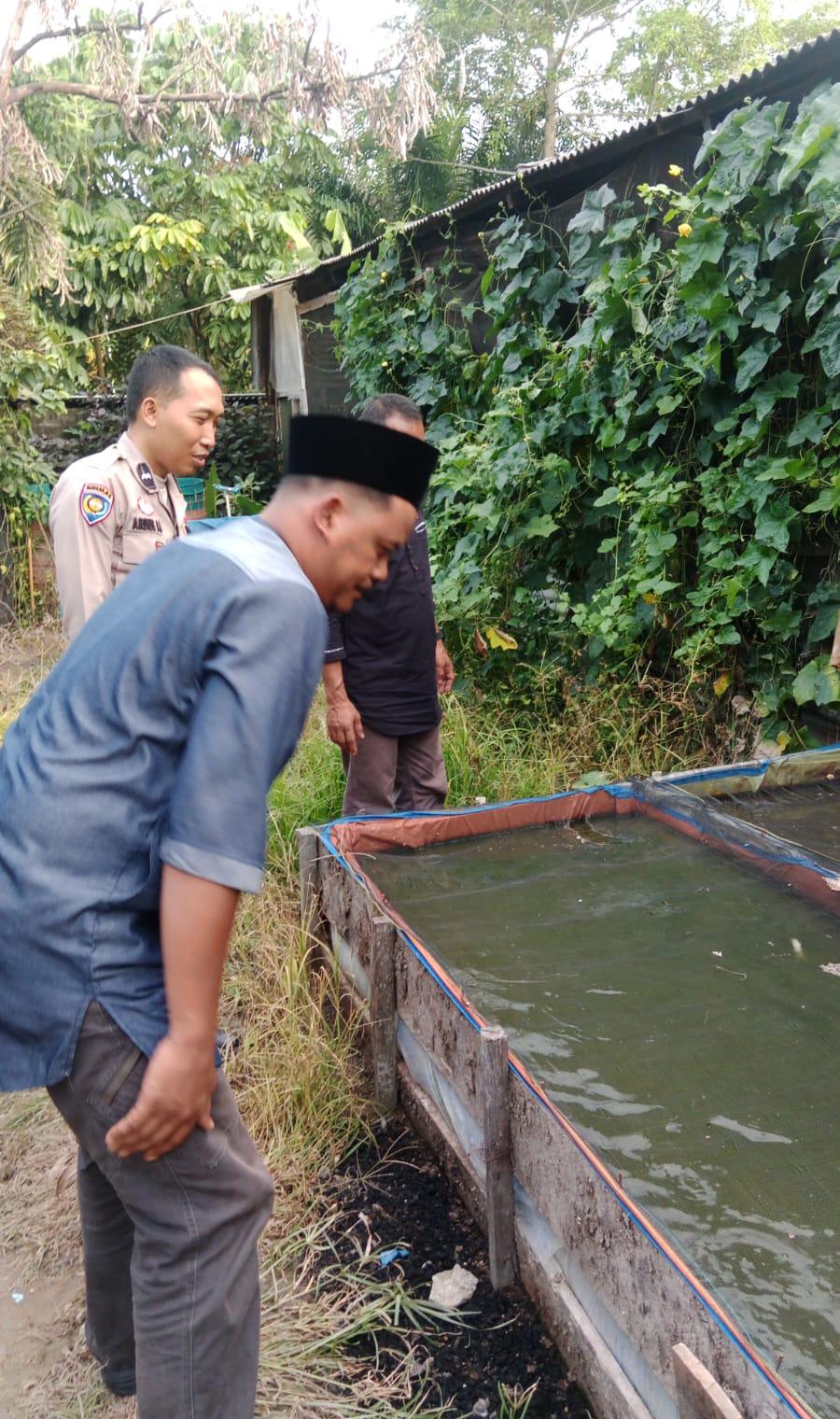 Bhabinkamtibmas Desa Seresam Aktif Dukung Ketahanan Pangan Melalui Budidaya Lele