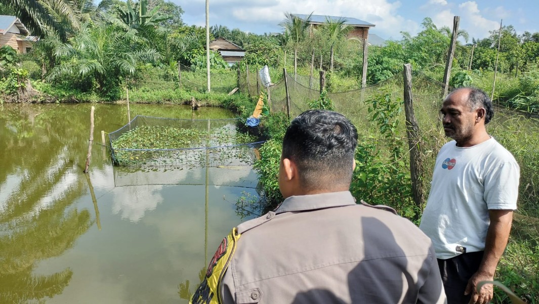 Bhabinkamtibmas Desa Kelesa Dorong Budidaya Patin untuk Perkuat Ketahanan Pangan Nasional