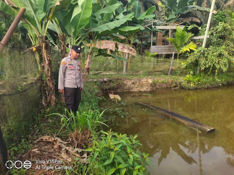 Bhabinkamtibmas Kelurahan Pangkalan Kasai Dorong Warga Kembangkan Budidaya Selada untuk Mendukung Ketahanan Pangan Nasional