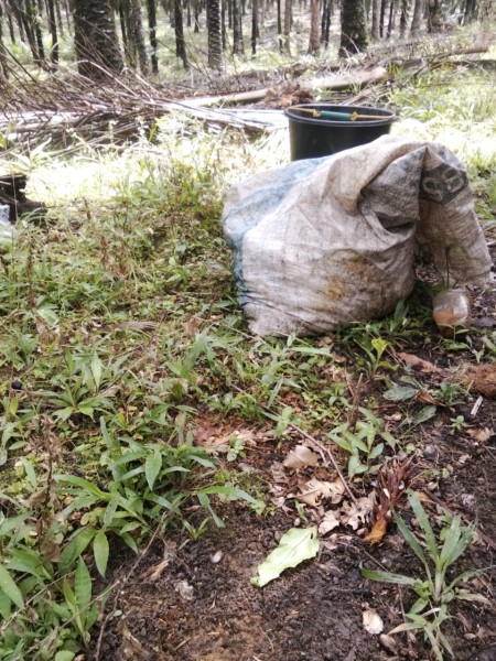 Hati-hati Pada Pencuri Kepergok, Bisa Jadi Tuanmu!