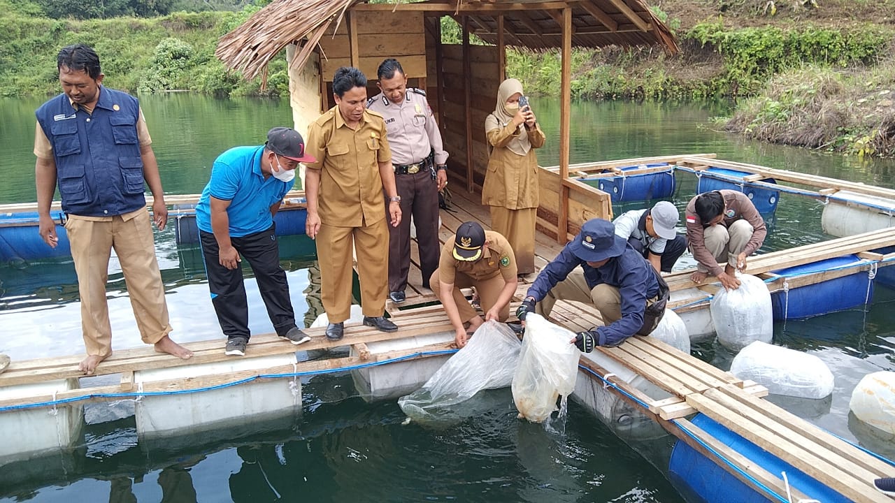Pemdes Usul Tabur 14.000 Benih Ikan Nila