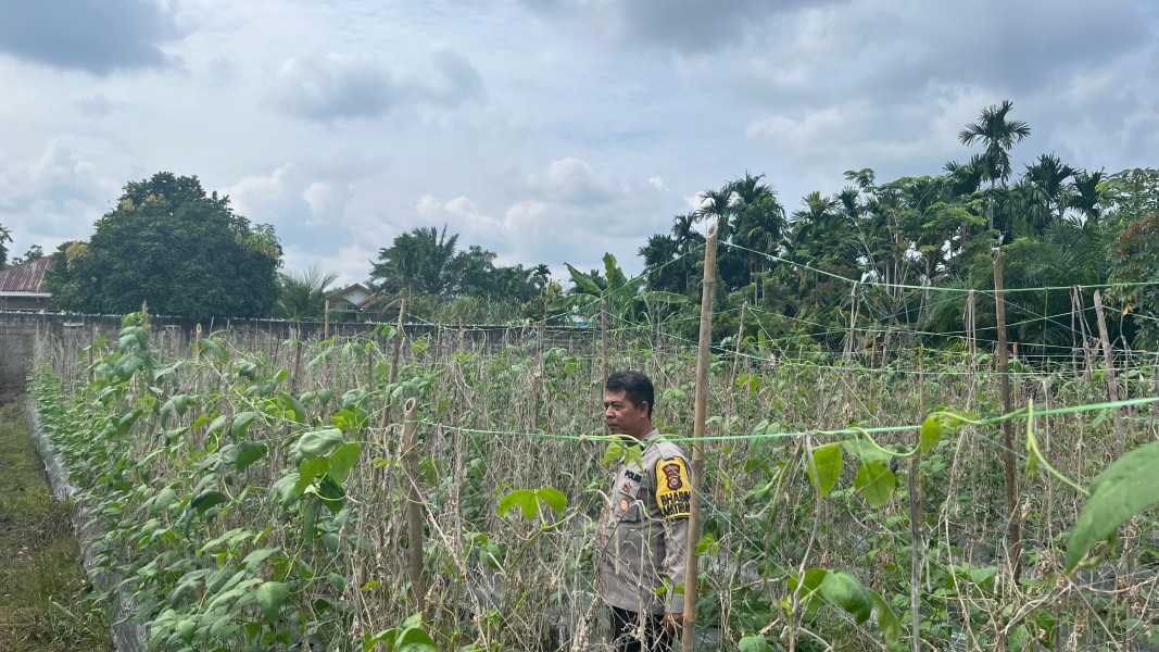 Bhabinkamtibmas Desa Beligan Dorong Warga Kembangkan Budidaya Kacang Panjang untuk Ketahanan Pangan