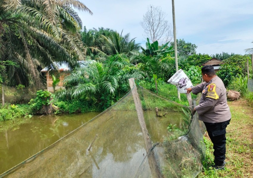Dukung Swasembada Pangan, Bhabinkamtibmas Bina Pembudidaya Ikan Nila di Desa Kelesa