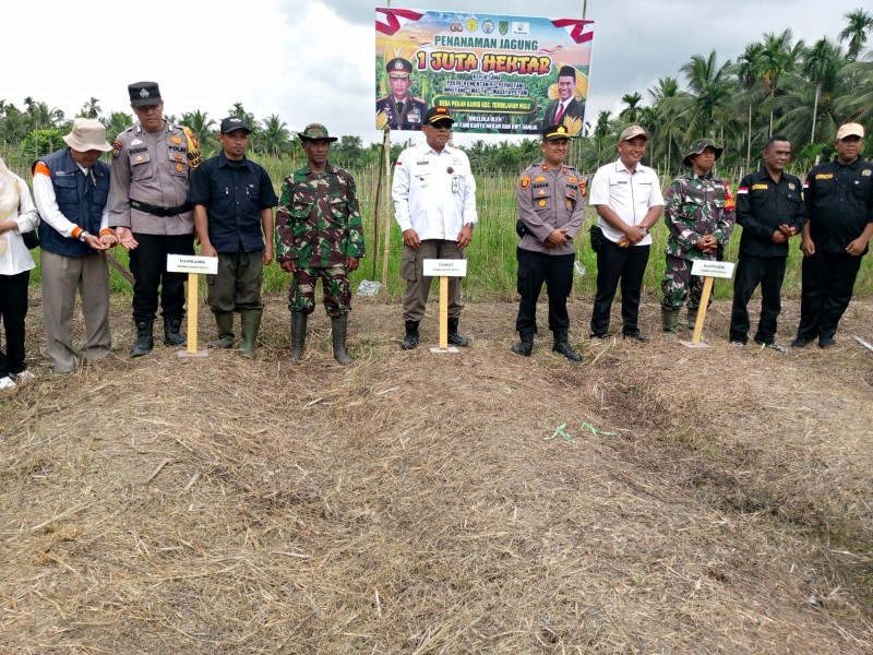 Kapolsek dan Camat Tembilahan Hulu Tanam Jagung untuk Meningkatkan Ketahanan Pangan