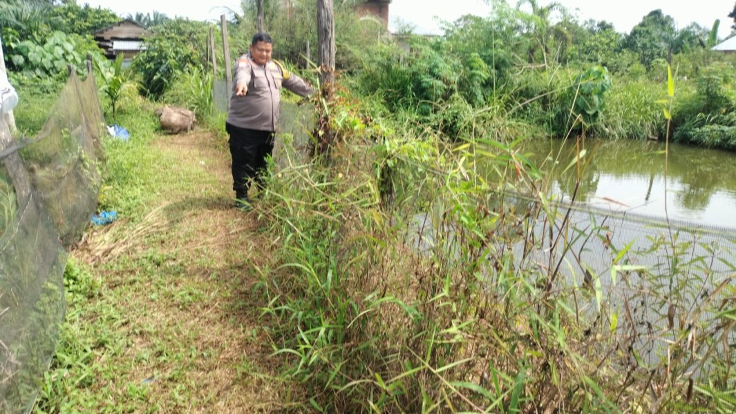 Budidaya Ikan Nila Menjadi Salah Satu Upaya Mewujudkan Kemandirian Pangan di Tingkat Desa