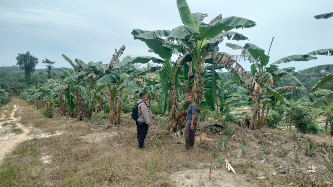Bhabinkamtibmas Desa Kelesa Ajak Warga Kembangkan Pertanian Mandiri