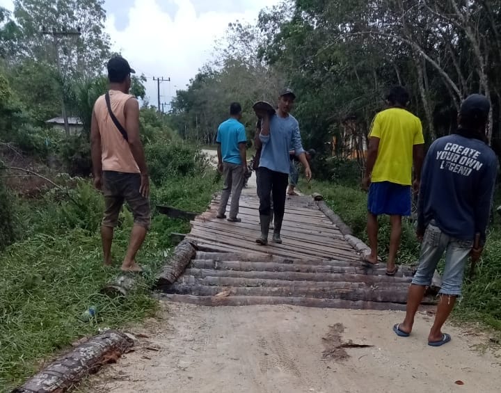 Warga Desa Danau Tiga Kembali Gotong Royong Perbaiki Jembatan