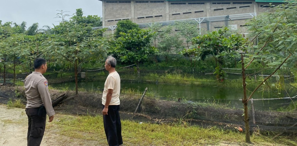 Bhabinkamtibmas Payarumbai Sambangi Pembudidaya Ikan Nila, Dorong Ketahanan Pangan dari Pekarangan Warga