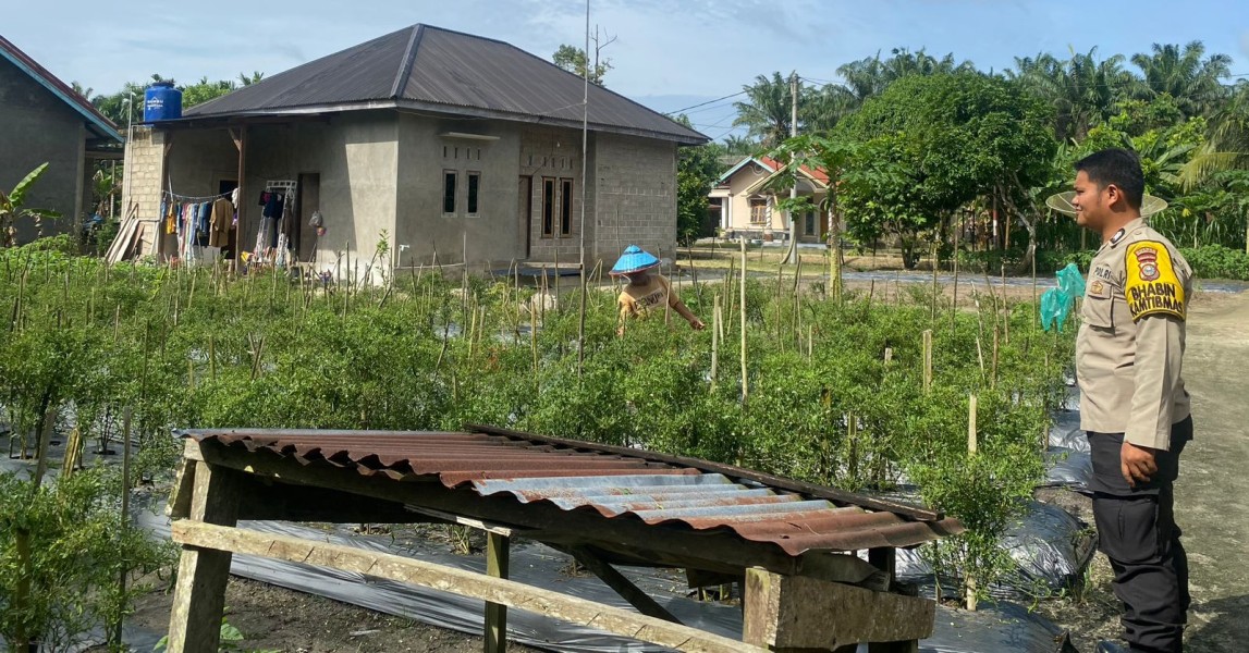 Bhabinkamtibmas Desa Payarumbai Aktif Dukung Program Ketahanan Pangan Nasional