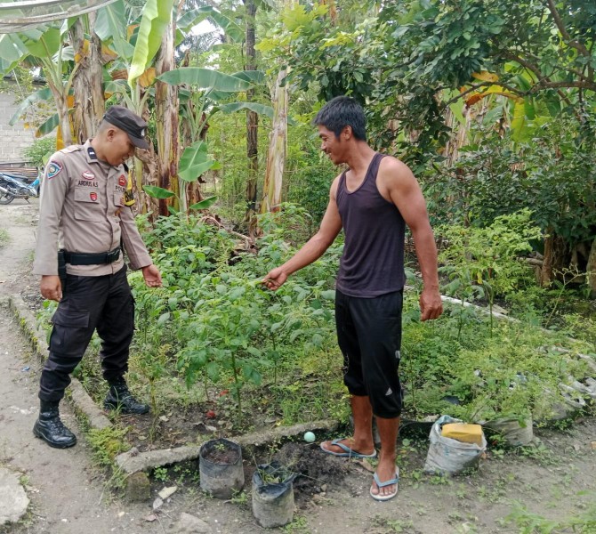 Bhabinkamtibmas Seresam Jadikan Pekarangan Warga sebagai Garda Terdepan Ketahanan Pangan