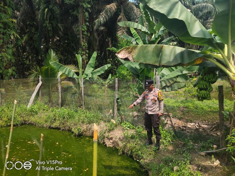 Bhabinkamtibmas Desa Titian Resak Aktif Dampingi Warga Budidaya Ikan Patin untuk Ketahanan Pangan